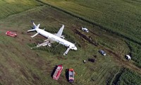 Máy bay Ural Airlines hạ cánh xuống đồng ngô hôm 15/8 ở Moscow (Nga). Ảnh: AP
