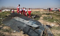 Hiện trường vụ tai nạn máy bay ngày 8/1 ở Tehran. Ảnh: Getty