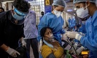 Nhiều bệnh nhân COVID-19 ở Ấn Độ sau khi khỏi bệnh đã nhiễm nấm đen. Ảnh: Reuters
