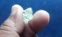 Viên kim cương thô 13,47 carat. Ảnh: India Today