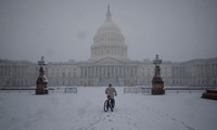 Mỹ: Biến thể Omicron tấn công Điện Capitol