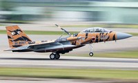 Nhật Bản tìm thấy thi thể phi công máy bay F-15 mất tích cách đây 2 tuần