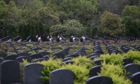 Trung Quốc: Nở rộ dịch vụ viếng mộ ‘thuê’, khóc ‘hộ’ dịp lễ Thanh minh