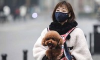 Trung Quốc xây trung tâm chăm sóc thú cưng ‘cơ nhỡ’ khi chủ đi cách ly tập trung