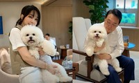 Đệ nhất phu nhân Hàn Quốc kêu gọi dừng ăn thịt chó