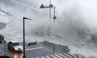 Hàn Quốc: 7 người chết thảm vì xuống hầm đậu xe đúng lúc mưa bão