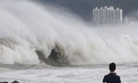 Nhật Bản kêu gọi người dân sơ tán trước siêu bão ‘chưa từng thấy’