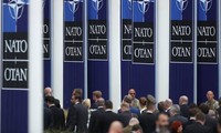 Quan chức Đức: NATO &apos;không có nghĩa vụ&apos; hỗ trợ Ukraine