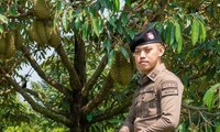 Thái Lan: Cảnh sát triển khai lực lượng bảo vệ sầu riêng chín cây