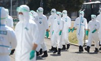 Nhật Bản hết đất chôn gà vì cúm gia cầm lan rộng
