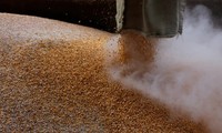 Nước láng giềng thân thiết dừng nhập khẩu ngũ cốc của Ukraine