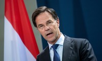 Nguồn cơn khiến Chính phủ Hà Lan sụp đổ