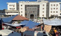 Israel bắt giữ giám đốc bệnh viện lớn nhất Dải Gaza