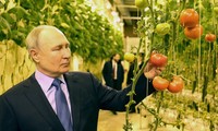 Tổng thống Vladimir Putin lần đầu thăm vùng cực đông Nga