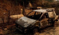 112 người thiệt mạng vì cháy rừng ở Chile