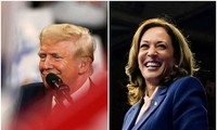 Thăm dò cử tri Mỹ: Bà Kamala Harris tiếp tục dẫn trước, nới rộng khoảng cách với ông Donald Trump