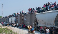 Người nhập cư trèo lên nóc tàu hàng trên đường tới biên giới Mexico-Mỹ. Ảnh: IMO.