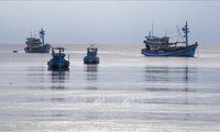 Tàu cá neo đậu ở huyện đảo Phú Quốc, tỉnh Kiên Giang. Ảnh: TTXVN.