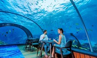 Nhà hàng 5.8 ở Maldives là nhà hàng dưới đáy biển lớn nhất thế giới. Thực đơn trị giá 200 USD đi kèm khung cảnh rạn san hô tuyệt đẹp. Nguồn: CNN.