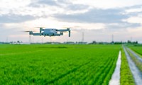 Dùng drone để chụp ảnh trên cánh đồng, cung cấp thông tin chi tiết về số lượng rau quả, kích thước và mức độ phát triển của chúng. Ảnh: Niponica.