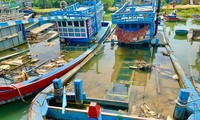 Quảng Ngãi xóa tên 244 tàu trong sổ đăng ký tàu cá quốc gia