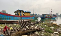 Hiểm họa tại ‘nghĩa địa tàu cá’ ở Quảng Ngãi