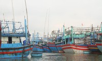 Đề nghị Bộ Công an chỉ đạo điều tra đường dây &apos;cò&apos; đưa tàu cá ra nước ngoài khai thác trái phép