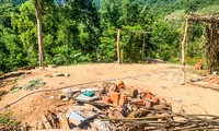 Tháo dỡ nhà sàn trái phép của vợ Chánh án TAND huyện ở Bình Định