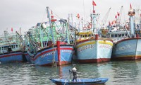 Tàu cá cùng 3 cha con ngư dân ở Bình Định mất liên lạc trên biển nhiều ngày