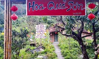 Khu du lịch tự phát Hoa Quả Sơn &apos;mọc&apos; trên núi ở Bình Định