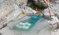 Du khách thích thú màn luộc trứng ở suối nước nóng 85 độ C