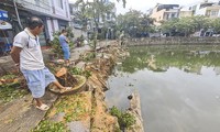 Hồ Bàu Sen ở Quy Nhơn sạt lở nghiêm trọng sau mưa