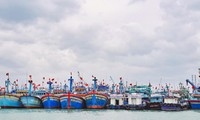 Bình Định sẽ di dời toàn bộ tàu neo đậu tại cảng cá Quy Nhơn về đầm Đề Gi