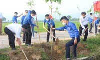 Tuổi trẻ Đà Nẵng trồng mới 25,5 ngàn cây xanh trong năm 2022
