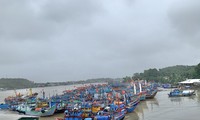 Tàu cá của ngư dân Bình Sơn, tỉnh Quảng Ngãi vào bờ tránh bão số 6. Ảnh: Nguyễn Ngọc