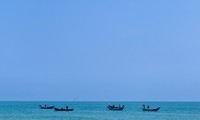 Mùa ốc gạo ở ven biển Quảng Ngãi kéo dài từ tháng Giêng đến hết tháng 3 Âm lịch. Ảnh: Nguyễn Ngọc