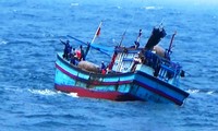 Tàu cá Bình Định cứu 5 ngư dân Phú Yên trôi dạt trên biển. Ảnh minh họa