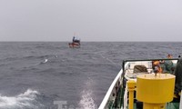 Tàu kiểm ngư đang lai kéo tàu cá BĐ 98658 TS vào bờ.