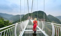 Chiêm ngưỡng cây cầu kính dài nhất thế giới, đạt kỷ lục Guinness ngay tại Việt Nam