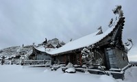 ‘Lộng lẫy’ cảnh tuyết phủ siêu dày trên đỉnh Fansipan cuối năm