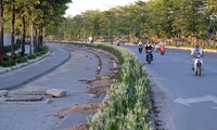 Đại lộ Chu Văn An nhếch nhác sau hơn 1 năm sử dụng 