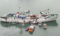 Trục vớt xác trực thăng gặp nạn trên vịnh Hạ Long