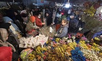 Chợ hoa Tết nổi tiếng nhất Hà Nội: Khách thốt rẻ quá, mua nhiều chưa biết cắm đâu