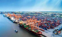 Doanh nghiệp vận tải biển lớn nhất Việt Nam làm ăn ra sao?