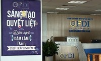 Vụ công ty GFDI lừa đảo: Tin mới từ Chi cục Thuế Buôn Ma Thuột 