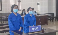 Việt kiều dởm lập công ty &apos;ma&apos; để lừa đảo bán đất dự án 
