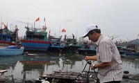 Ngư dân Đà Nẵng neo đậu tàu thuyền tại âu thuyền Thọ Quang. 