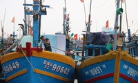 Tàu thuyền neo đậu tại Âu thuyền Thọ Quang (Sơn Trà, TP Đà Nẵng). Ảnh: Nguyễn Thành