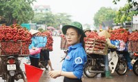 Đoàn viên, thanh niên tỉnh Bắc Giang tham gia điều tiết đảm bảo giao thông mùa vải thiều trong Chiến dịch Thanh niên tình nguyện Hè.