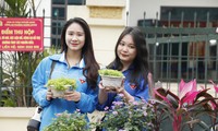 Đoàn viên thành phố Bắc Giang tham gia tình nguyện xây dựng đô thị văn minh. Ảnh: Nguyễn Thắng